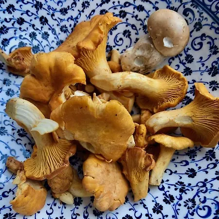 Joli Pour 4 Personnes A Lägenhet *